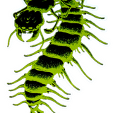 "The Helgrammites"  Sticker