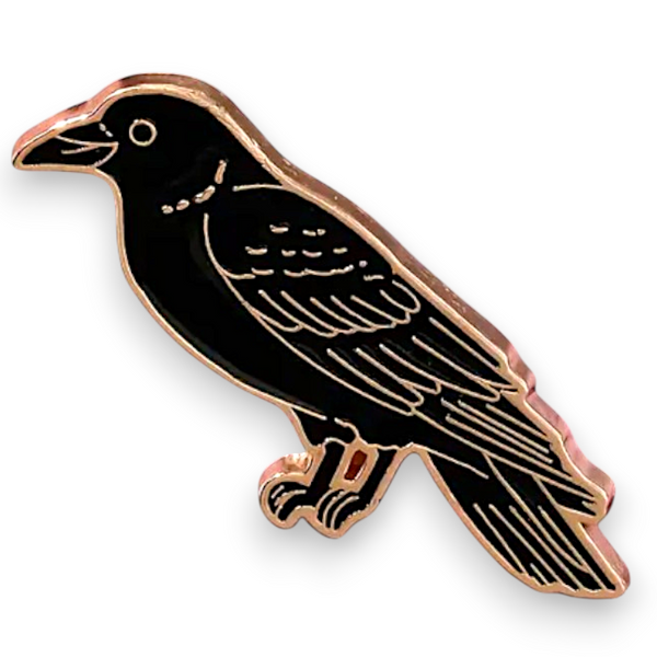 Black Raven Enamel Pin Gothic Crow Witchy Dark Academia Badge